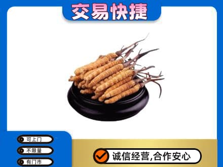 衡水市武邑礼品回收散虫草.jpg